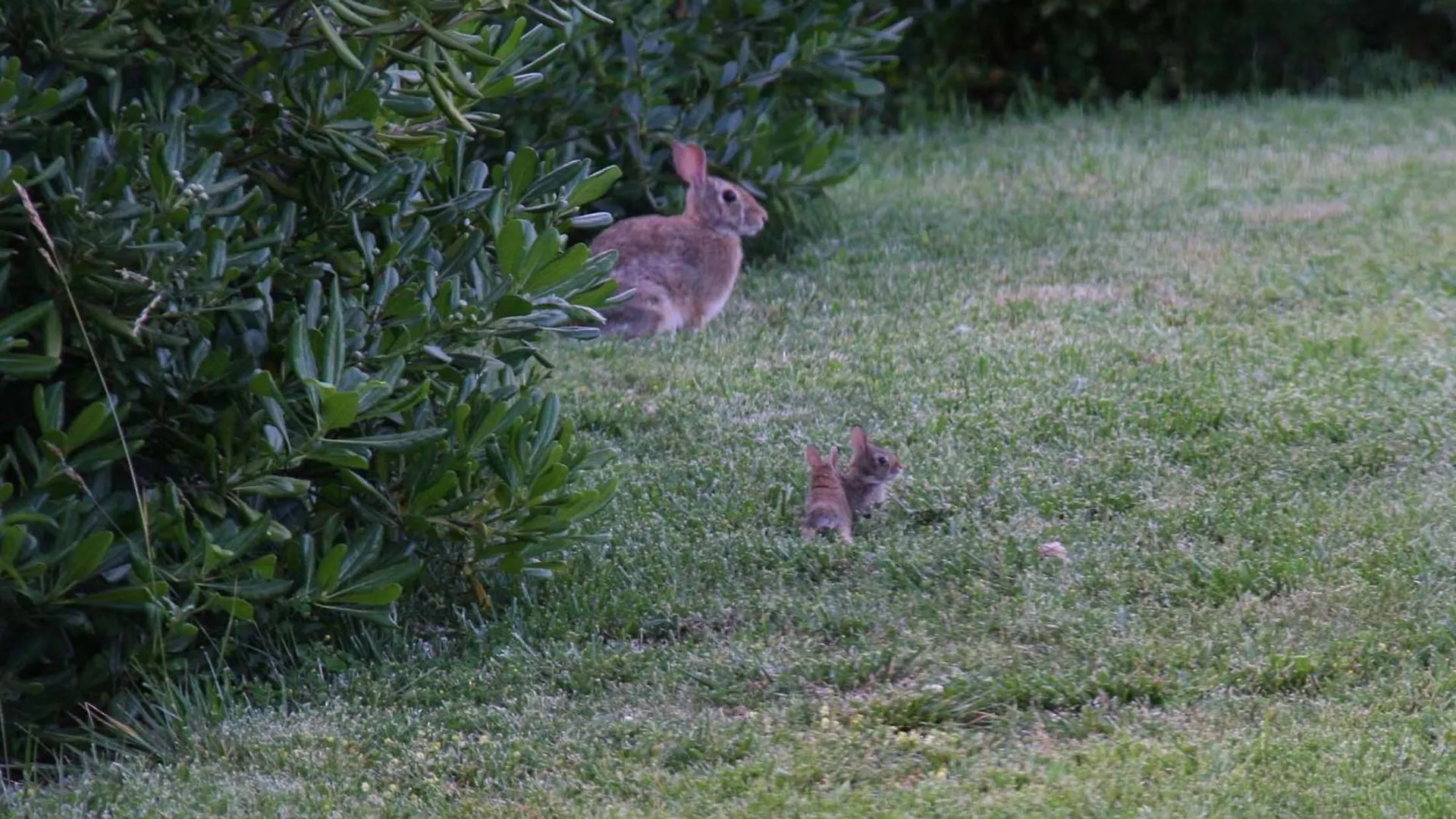 Country house Il Nido Di Gabbiano Guest House Scarperia
